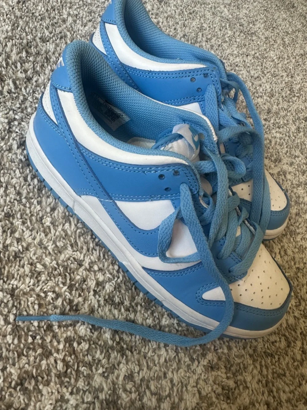 New Nike Dunks
